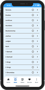 Pidgin Audio Bible Device